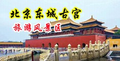 文字版操大逼中国北京-东城古宫旅游风景区