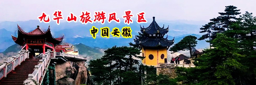 狠狠操大胸视频